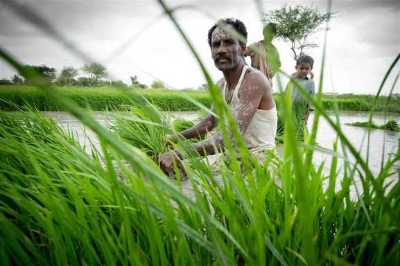 Richard Hanson Exhibition