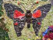 Well Dressing Butterfly 100 3199