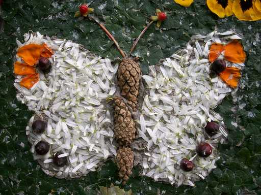 Well Dressing Butterfly 100 3198