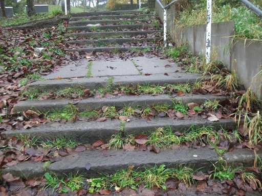 Steps are steep and slippery! 