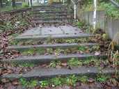 Steps are steep and slippery! 