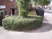 Environmental Improvements 