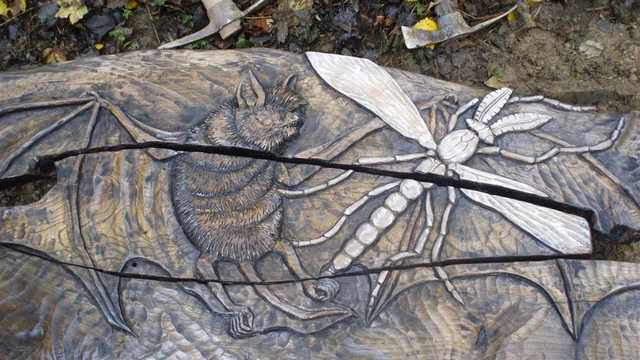 Relax on a Bat and a Gnat