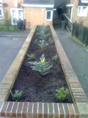  .... finally planted with new flowers