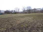 Roe Woods Greenspace