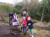 The Forest Garden in January