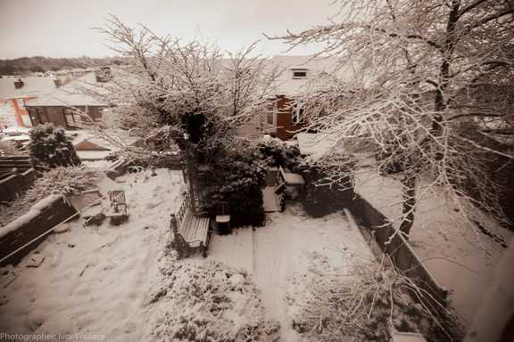 Snow Garden in Page Hall