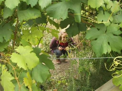 A great photo, taken as part of the 'Framed' workshop at SAGE Greenfingers