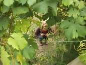 A great photo, taken as part of the 'Framed' workshop at SAGE Greenfingers