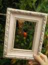 A SAGE Greenfingers user's 'framed' photo