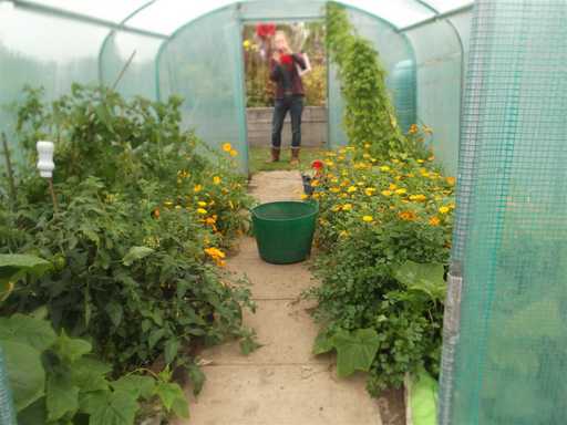 A SAGE Greenfingers user's photo inside the greenhouse