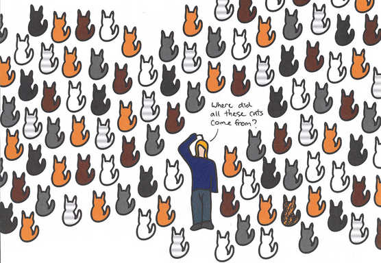 Cats Protection League