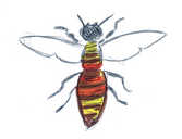Drawing of a bee