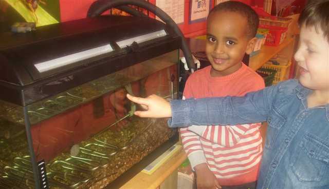 Children learn about trout