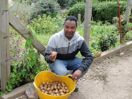 Volunteer with Sage Greenfingers