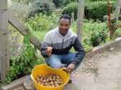 Volunteer with Sage Greenfingers