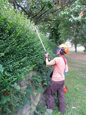 Trimming a hedge