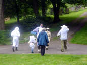 Going to the beehives