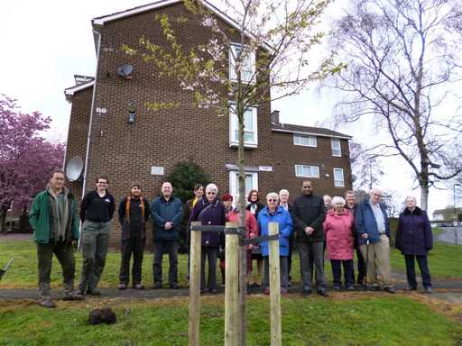 In memory of Jean Hayden