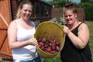 Hope Allotment A Good Harvest