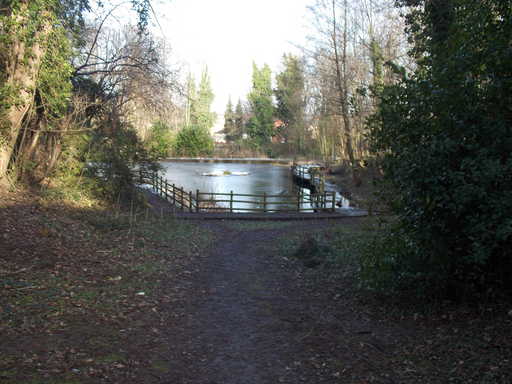 Crabtree Pond January 2015