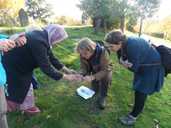 Learning about fungi