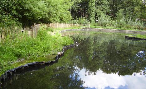 Crabtree Pond (SRWT photo)