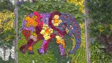 Baby elephant in Burngreave Cemetery