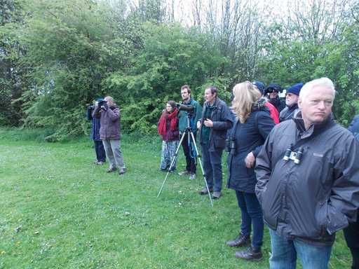 Dawn chorus walkers