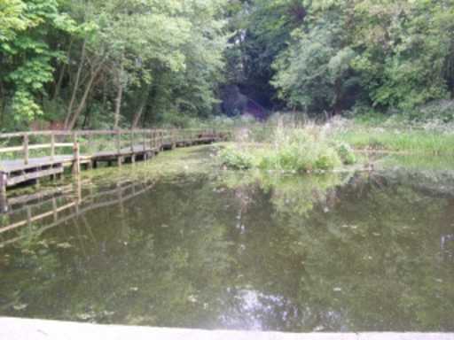 Crabtree ponds