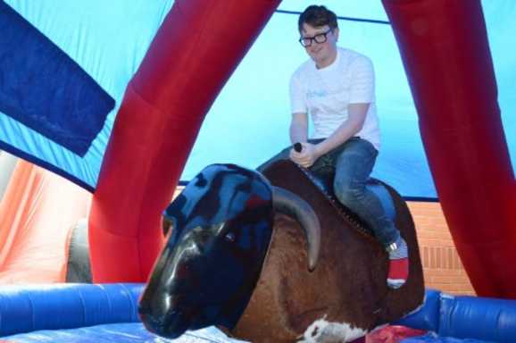 Bucking bronco
